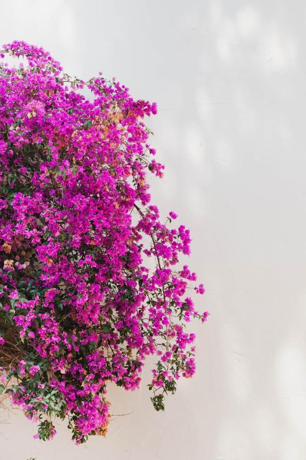 Hotel Ritual De Terra & Spa Javea Dış mekan fotoğraf